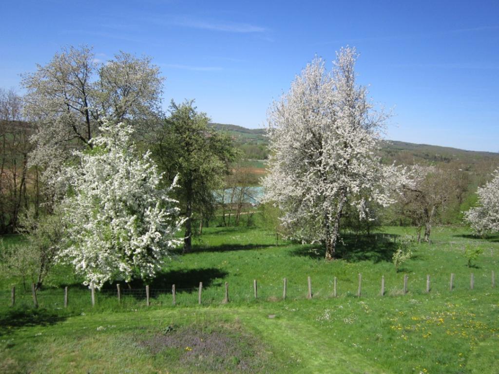 Gite Les Cossas Saint-Hilaire  Esterno foto